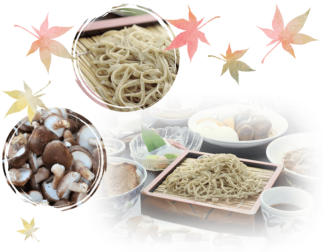 自家栽培のしいたけ 手打ち蕎麦